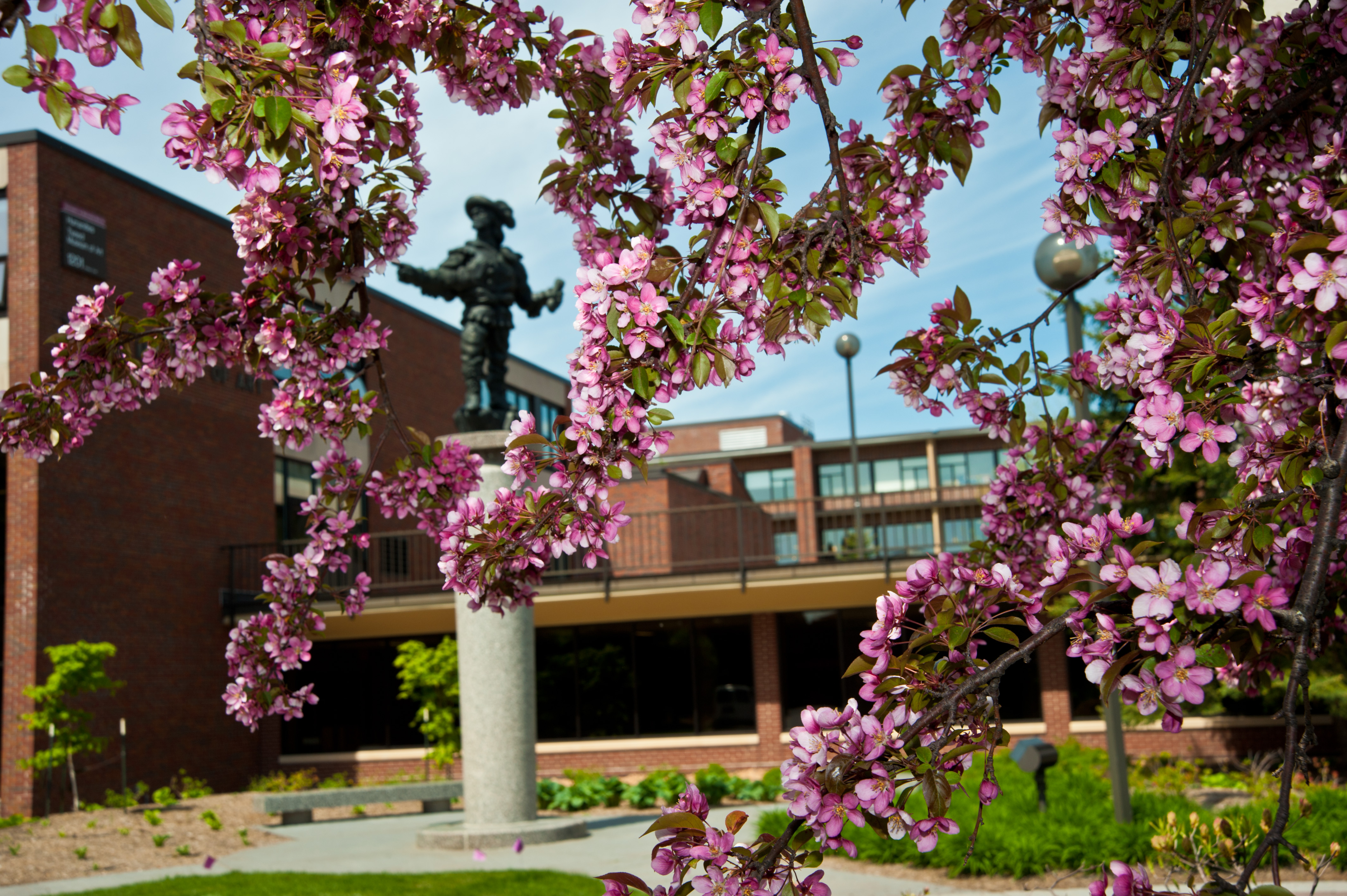 UMD Campus Spring Flowers